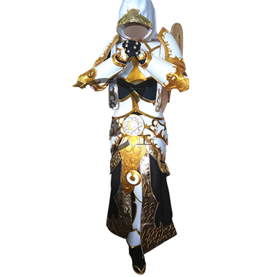 World of Warcraft WOW Tier 5 Mage Cosplay Kostume Fastelavn