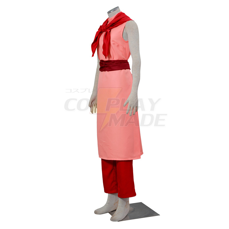 Déguisement Dragon Ball Z Chi Chi Costume Carnaval Cosplay Rose Robes longues France