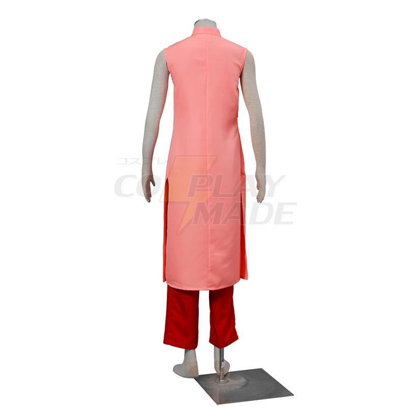 Déguisement Dragon Ball Z Chi Chi Costume Carnaval Cosplay Rose Robes longues France