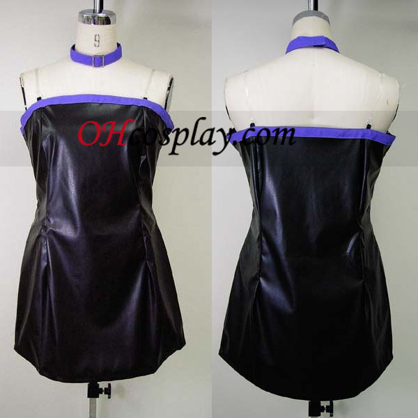 Rider Cosplay Costume up from between Fate Stay Night