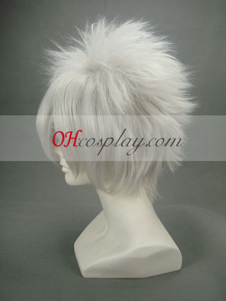 Hitman Reborn Byakuran zilverachtige Witte Cosplay Wig