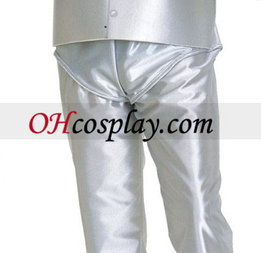 The Wizard installation for Oz Tinman Adult Costume