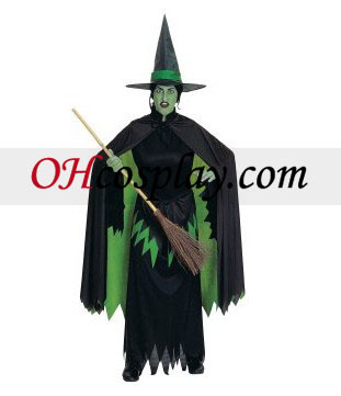 Trollkarlen från Oz Wicked Witch Adult kostym