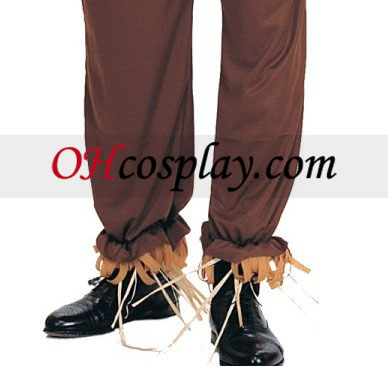The Wizard of Oz Scarecrow Adult Costume