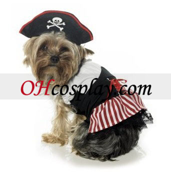 Pirata del perrito del traje