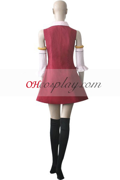 Fairy Tail Lisanna Cosplay Kostüme Kostüm