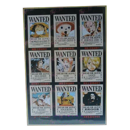 One Piece Accessories puzzle 868